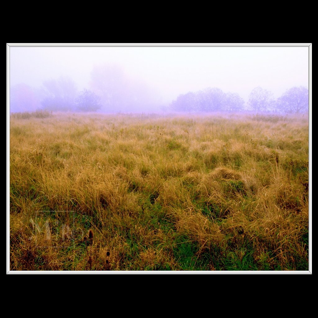 Scennery