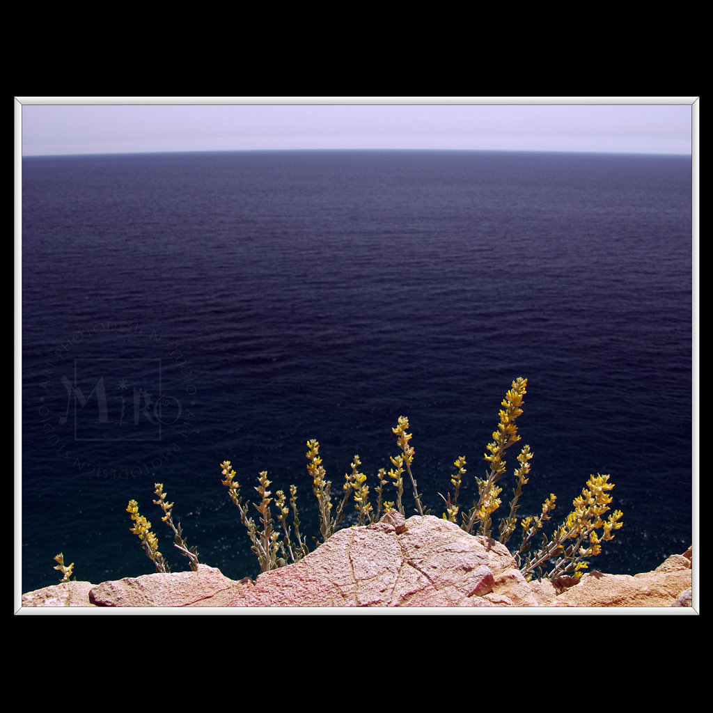 Sea