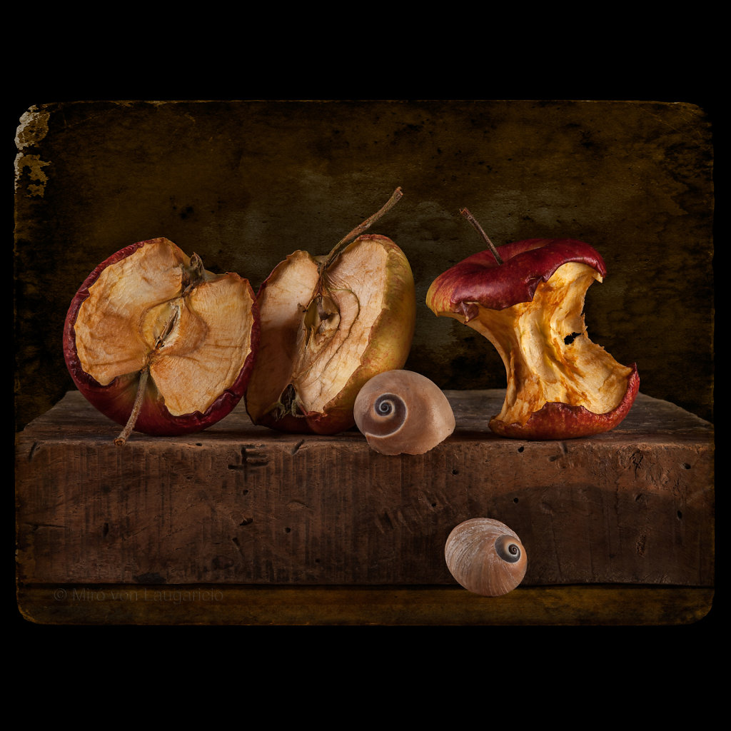 STiLL-LiFE