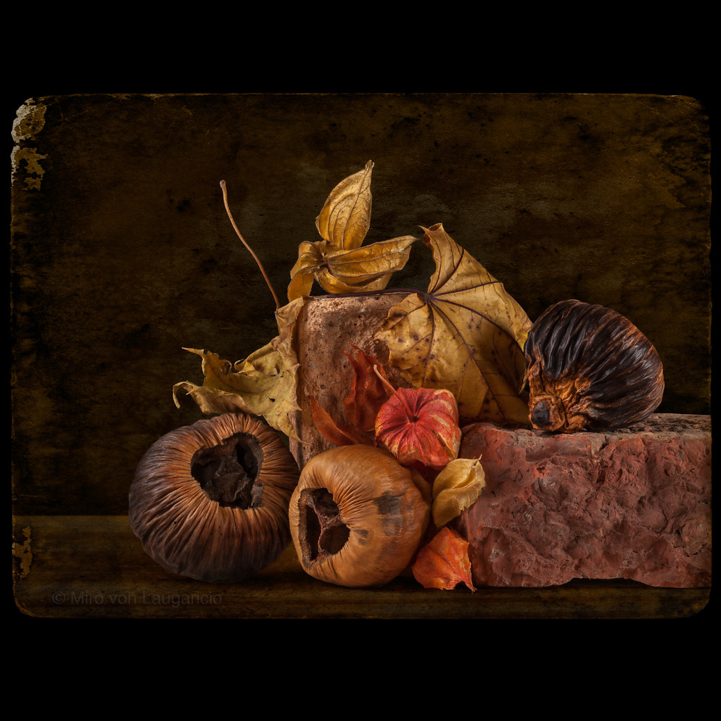 STiLL-LiFE