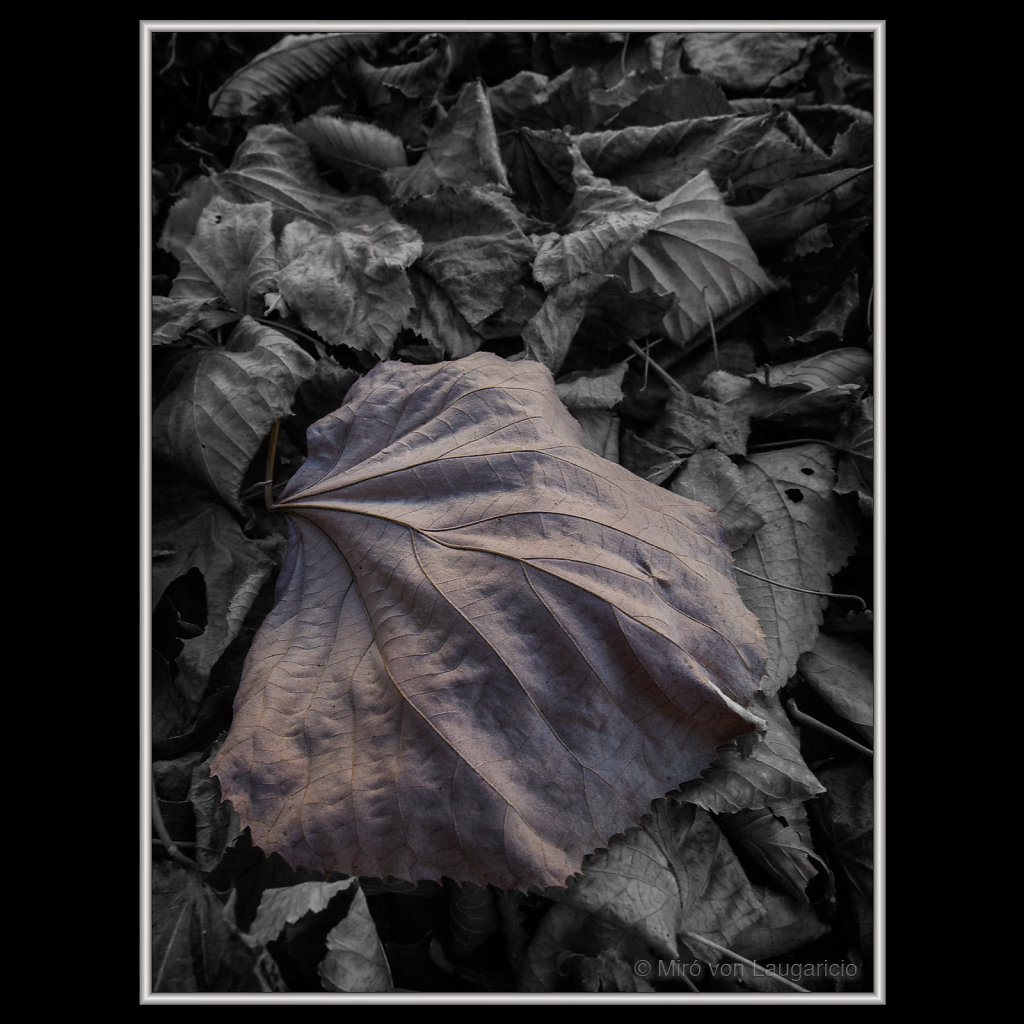 NFLORESCENCE impression