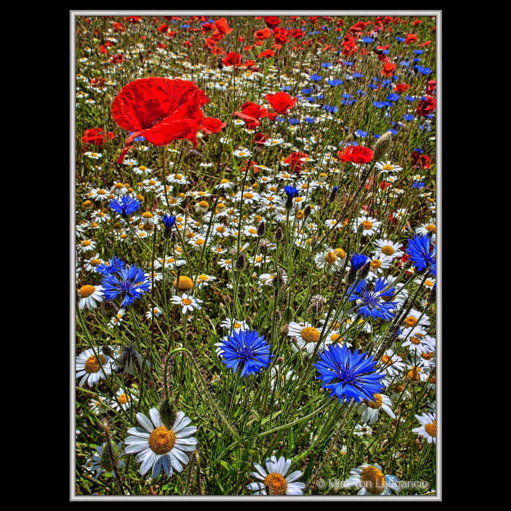Flowerage