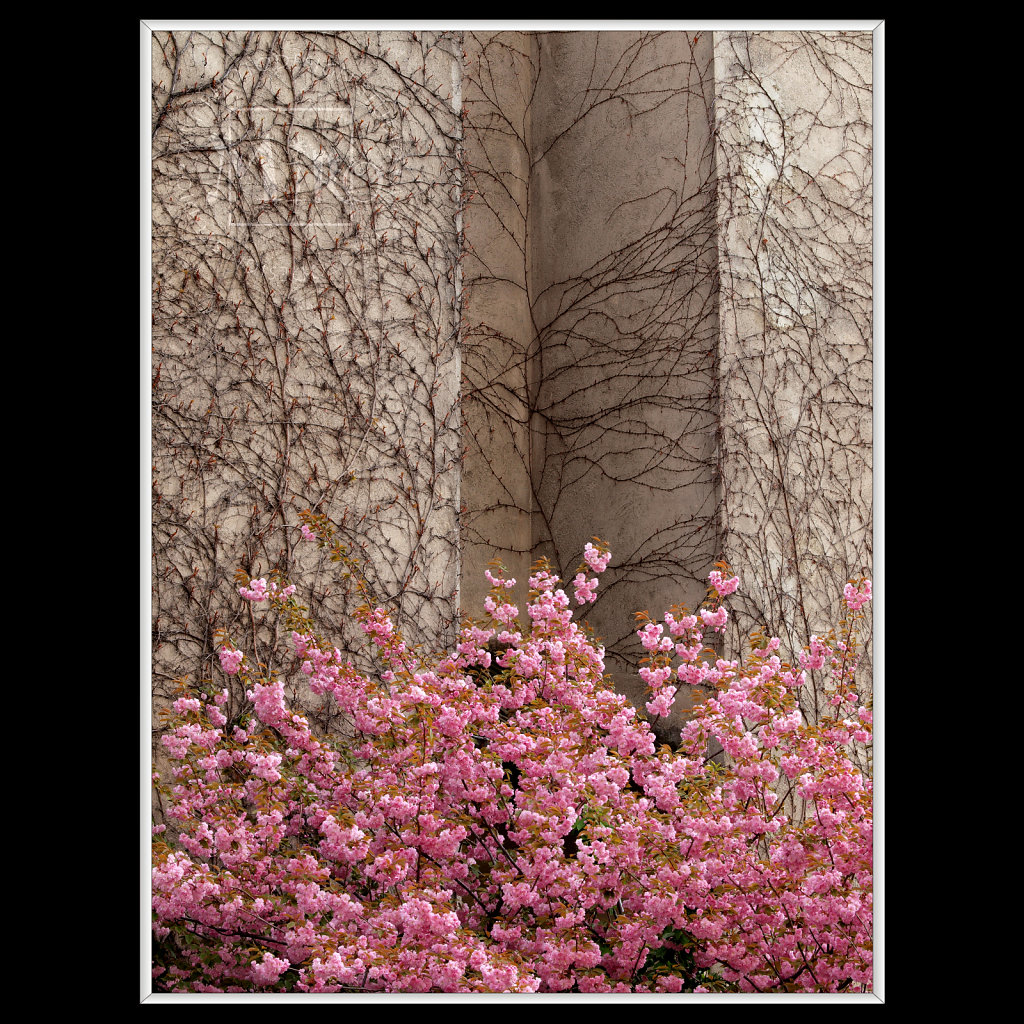Flowerage