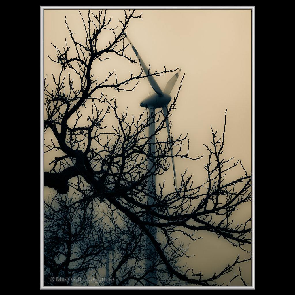 Windmills